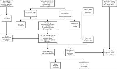 NR4A2 may be a potential diagnostic biomarker for myocardial infarction: A comprehensive bioinformatics analysis and experimental validation
